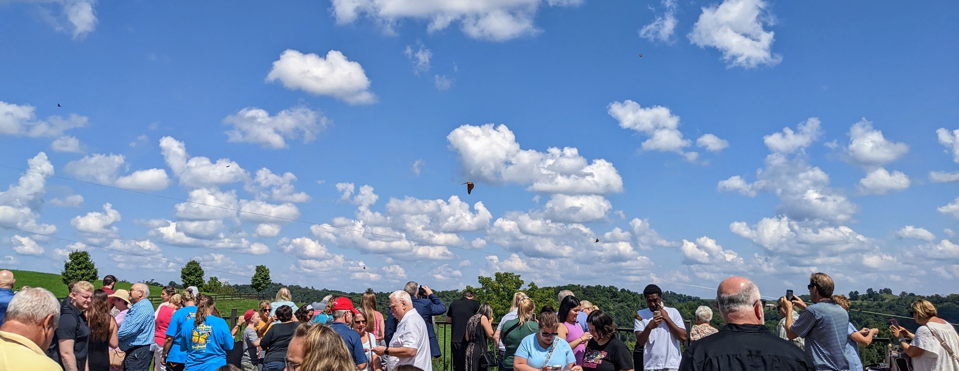 Concordia Hospice of Washington Butterfly Release 2026